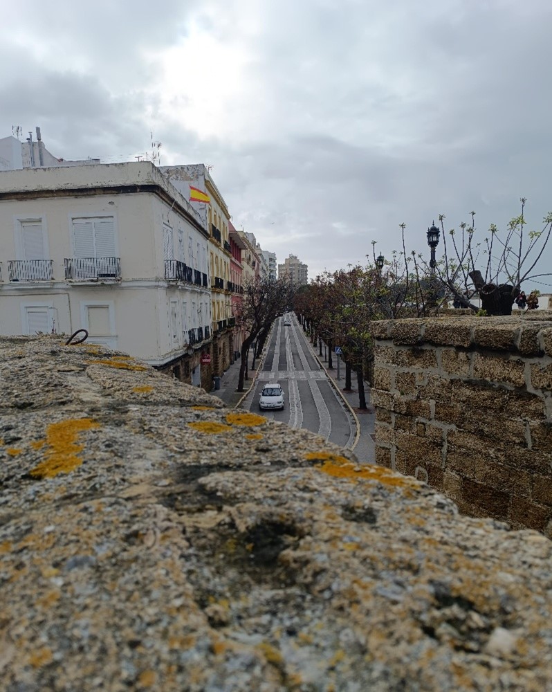 Cadice: il porto