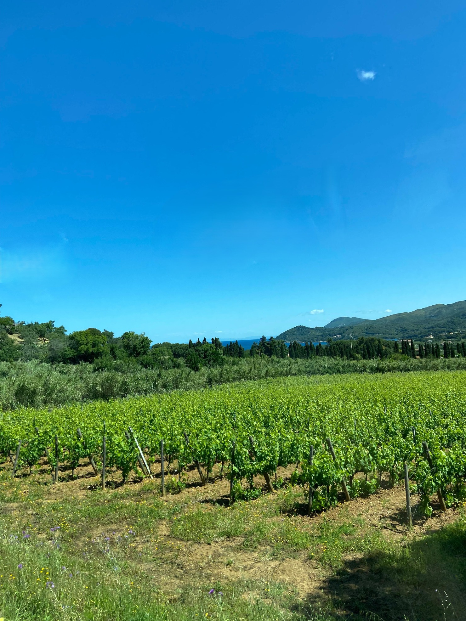 Panorama nel tragitto da Capoliveri a Portoferraio