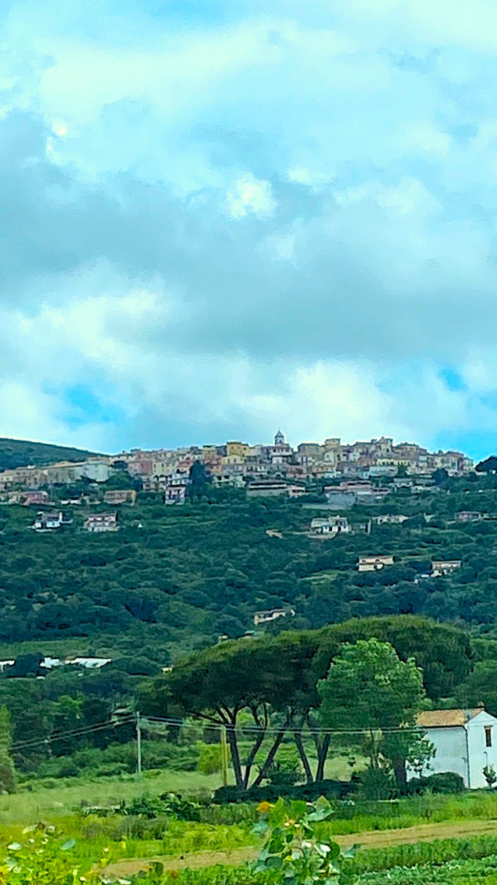 Capoliveri dal pullman