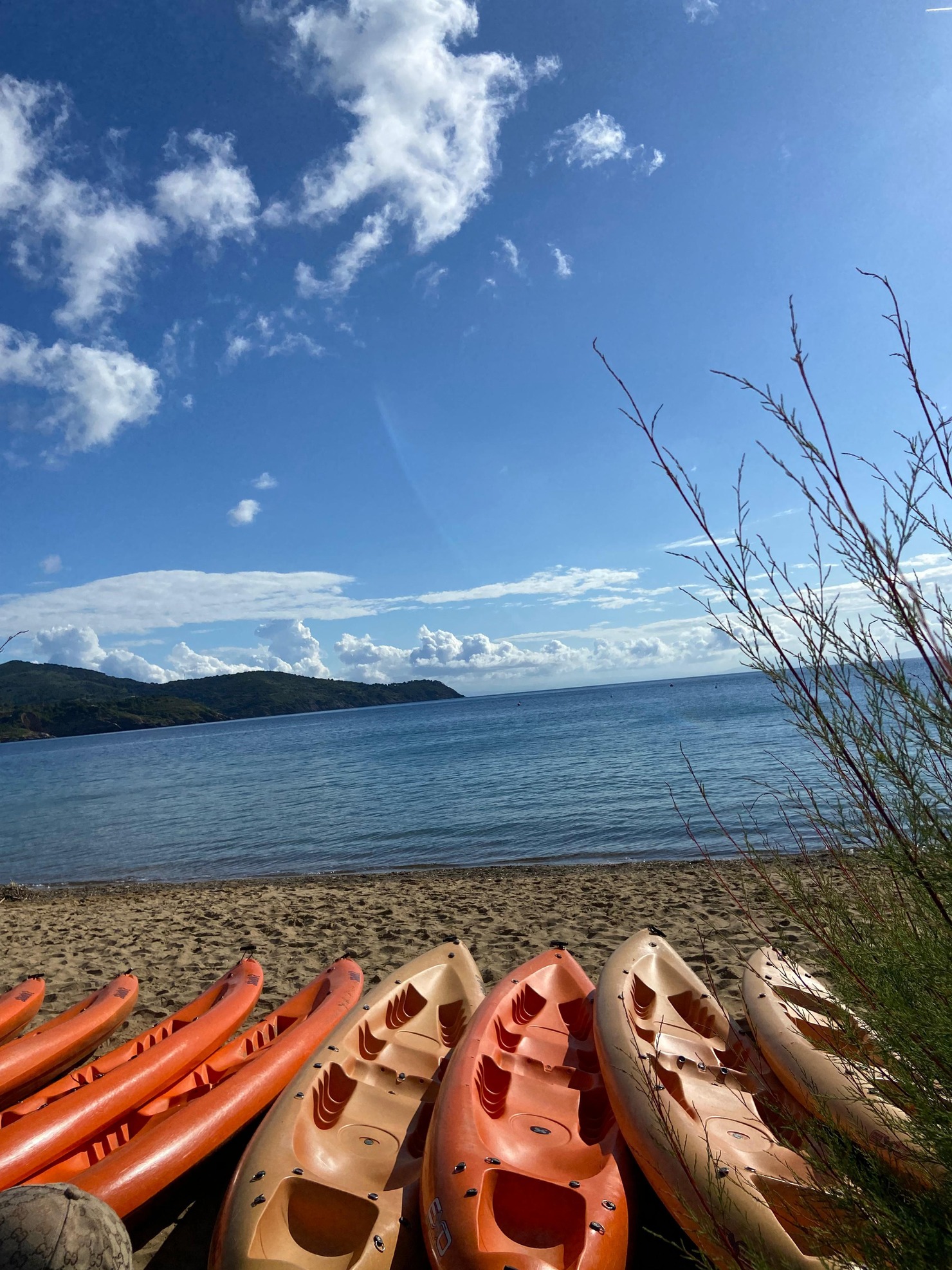 Missione Isola d'Elba: conclusa con successo e tante foto!