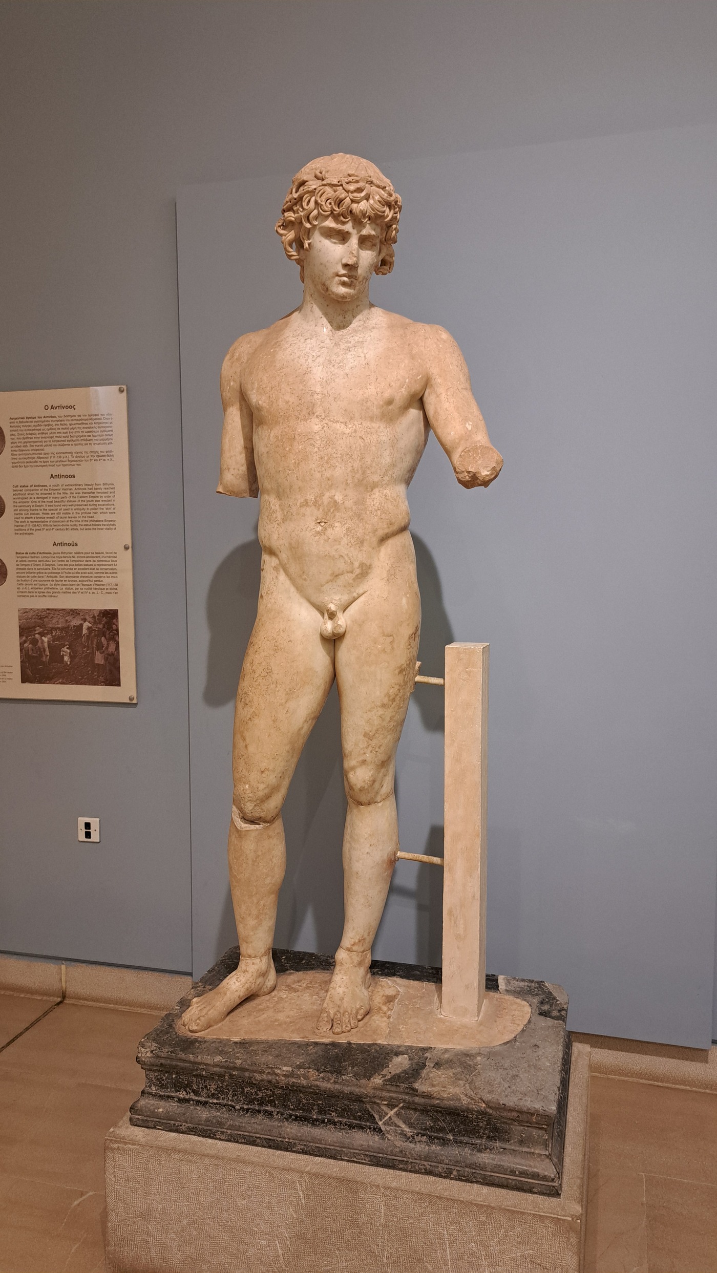 L'Antinoo delfico