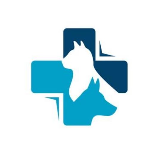 L'Italia che dimentica i suoi veterinari