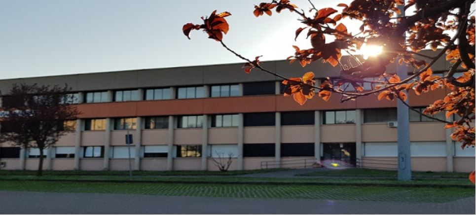 Intervista allo staff della Vicepresidenza