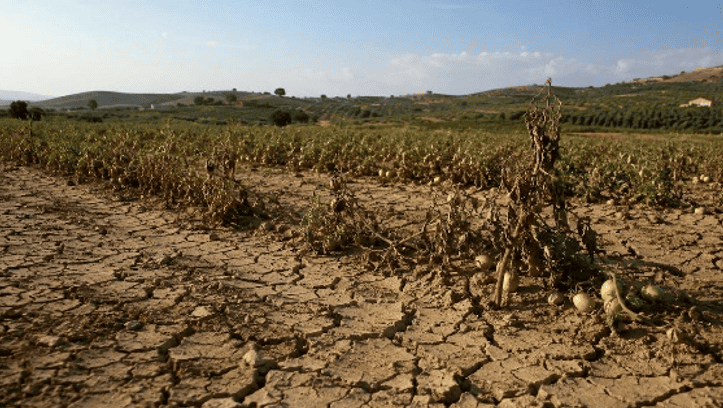 I cambiamenti climatici in Italia: un clima sempre più avverso