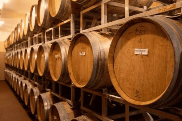 L’enologia e le tecniche di produzione del vino